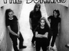 banda-the-donnas-5