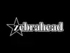 banda-zebrahead-10