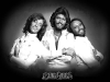 bee-gees-14