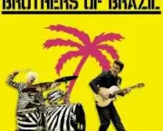 como-anda-a-carreira-dos-brothers-of-brazil-5