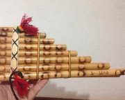 Flauta de Bambu (1)