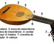 instrumentos-musicais-na-bossa-nova-4