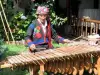 marimba-um-instrumento-encantador-9