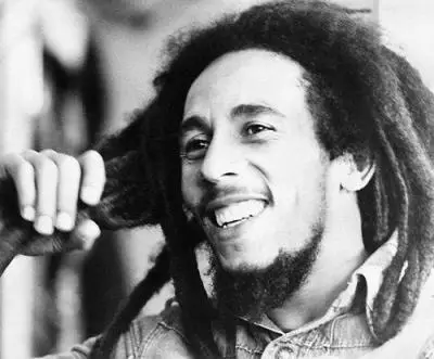Biografia De Bob Marley: Política e Reggae