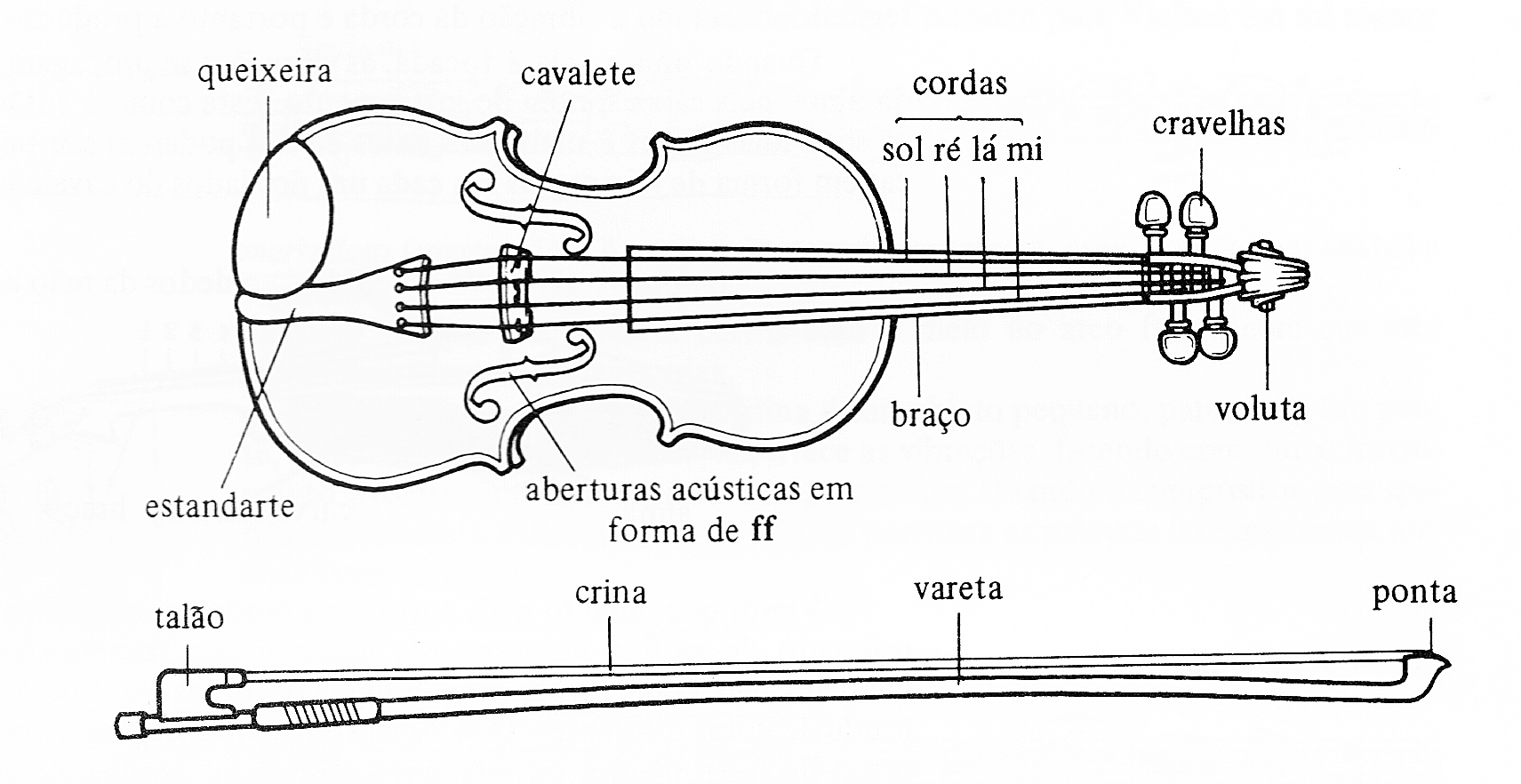 Partes do Violino 